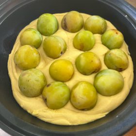 725edfb6283da964cf18a0835b51a3af ringlotten streuselkuchen (ohne entkernen)